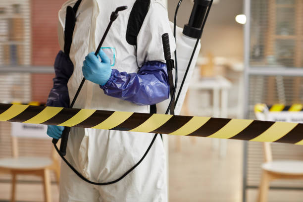 Professional Sewage Cleanup technician working in Port Jefferson Station, NY